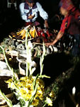 Ceremonia Maya