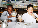 High Tea at South Grade Elementary